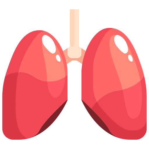 Medical illustration representing bronchoscopy, showing examination of the airways and lungs using a bronchoscope.