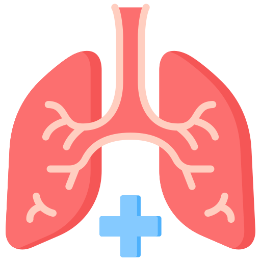 Medical illustration of healthy lungs and airways with a blue medical cross symbol, representing respiratory health and lung care.